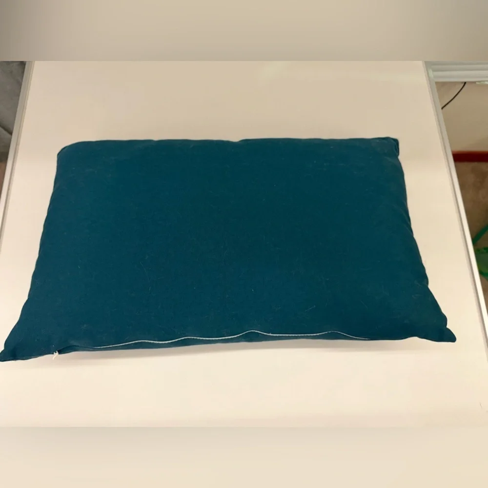 Teal Decorative Pillow